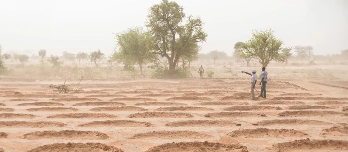 Revitaliser les sols d’Afrique de l’Ouest